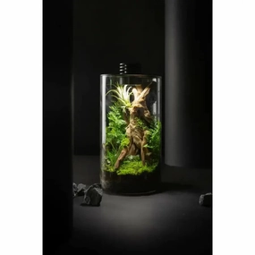 Bioscape 150 cylinder Nano Moss Terrarium (4.1 litre) with Grow Light,garden yard decoration