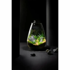 Bioscape 175 rounded Nano Moss Terrarium (3 litre ) with Grow Light,garden yard decoration