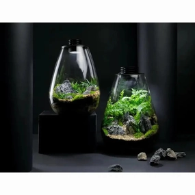 Bioscape 200 rounded  Nano Moss Terrarium (5 litre) with Grow Light,garden yard decoration