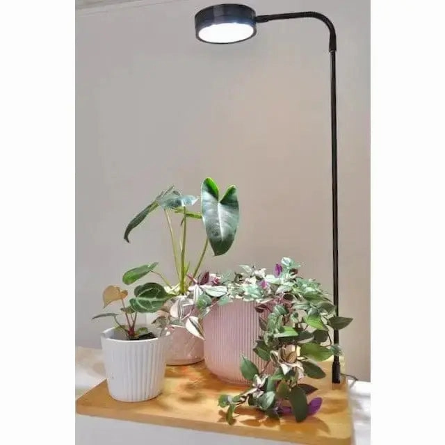 Bioscape LED Grow Light with Bamboo Stand