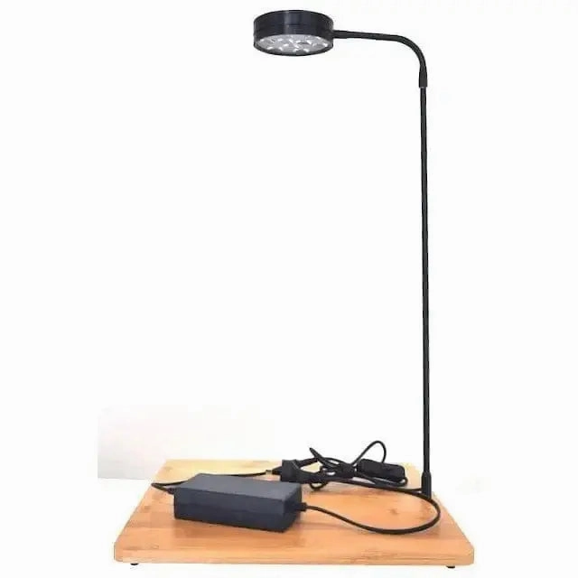 Bioscape LED Grow Light with Bamboo Stand