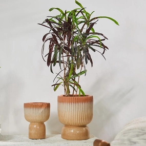 Birch Haven & Cedar Glen Ceramic Pot,hand-painted ceramic vase