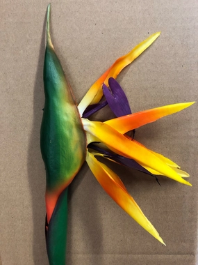 Birds of paradise orange for Wedding tropical artificial flower real Touch realistic flower bouquet  