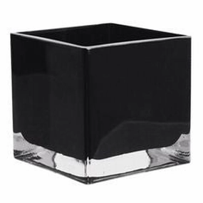 Black 5" Cube Vase Glass vase,aesthetic flower vase