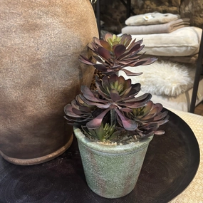 Black Aeonium Succulent in Textured Pot 31cm,dried artificial flower