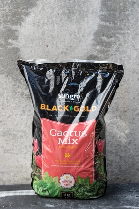 Black Gold Cactus Mix 8 quart,potted plant decor