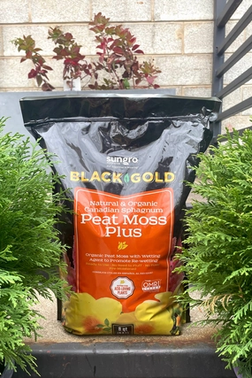 Black Gold Organic Peat Moss 8qt,potted plant decor