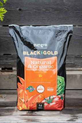 Black Gold Organic Potting Mix 8 Quart,potted plant decor