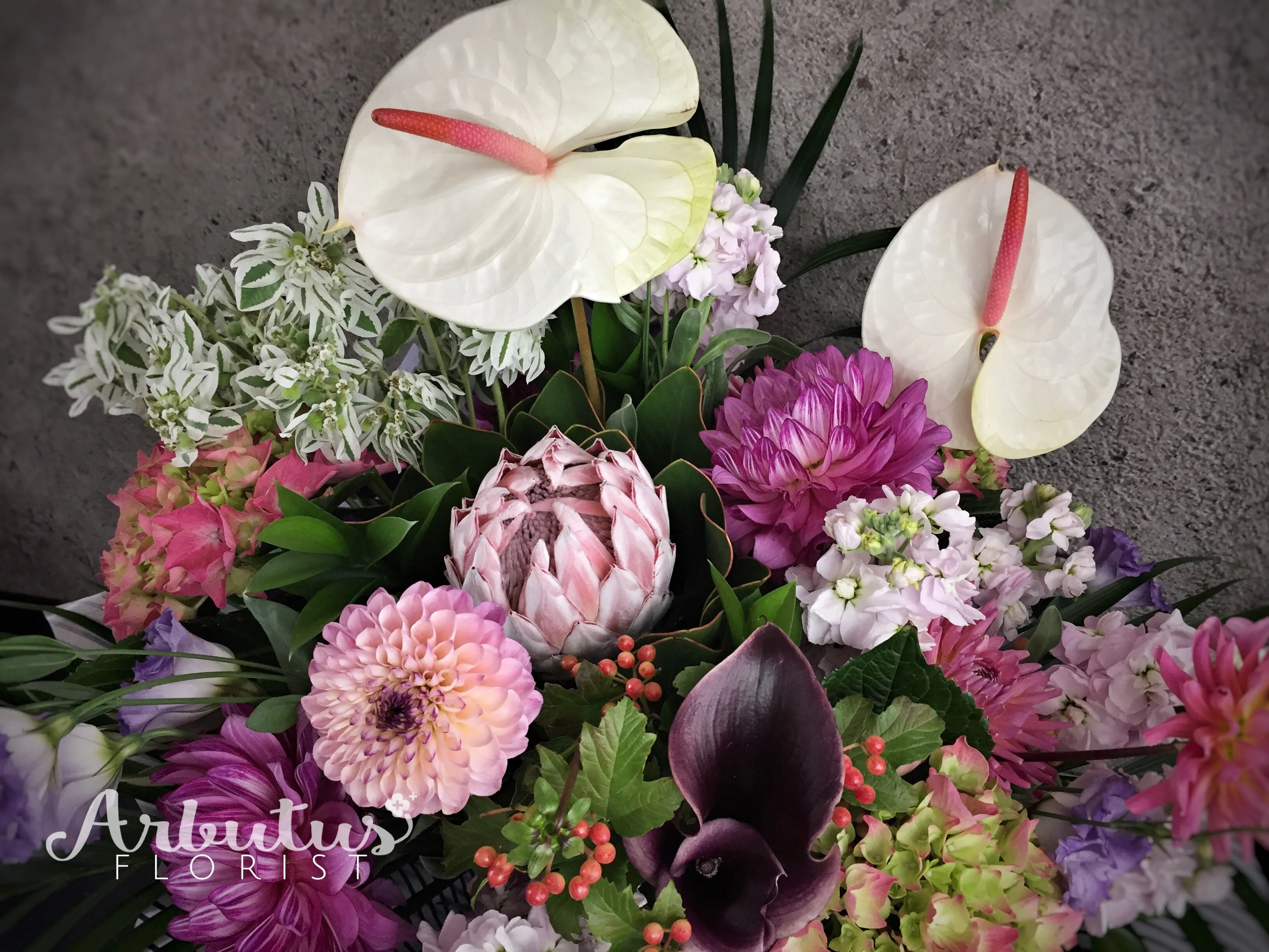 Blooming Garden