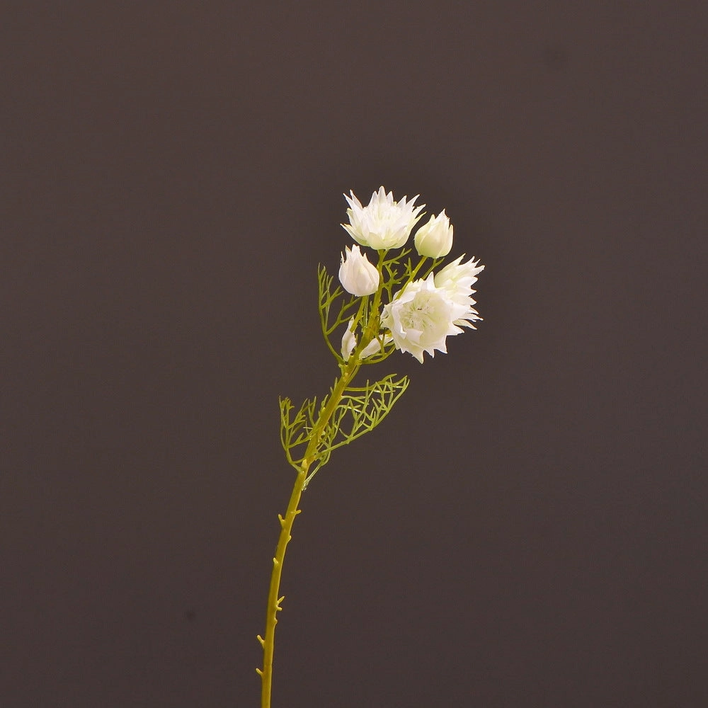 Blushing Bride Artificial Flowers White BLUSHING BRIDE001,dried artificial flower
