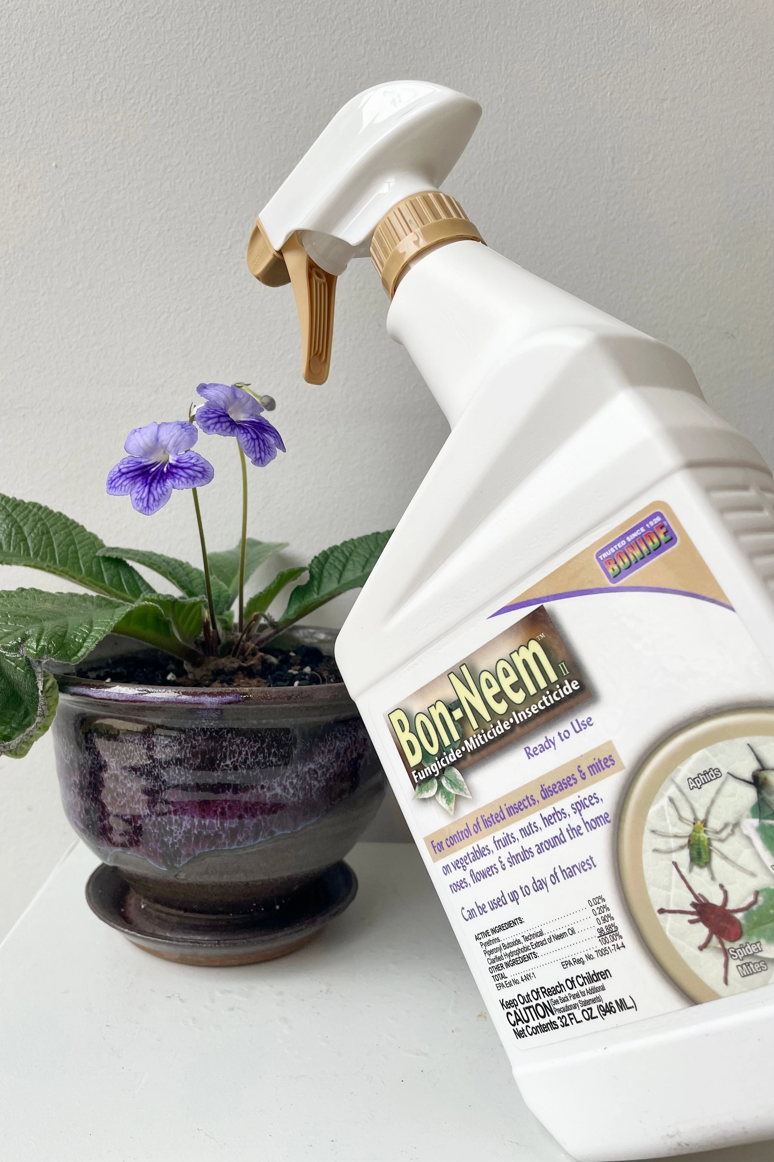 Bonide Bon-Neem II Insect/Fungicide 32 oz