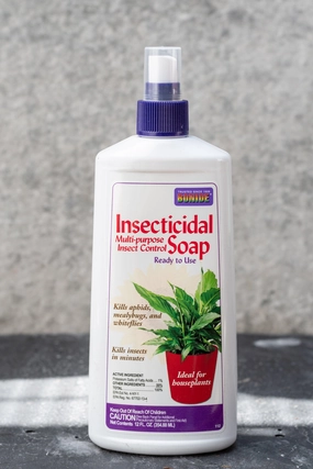 Bonide Insecticidal Soap 12oz,potted plant decor