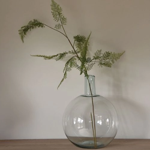 Botanical Stem Vases