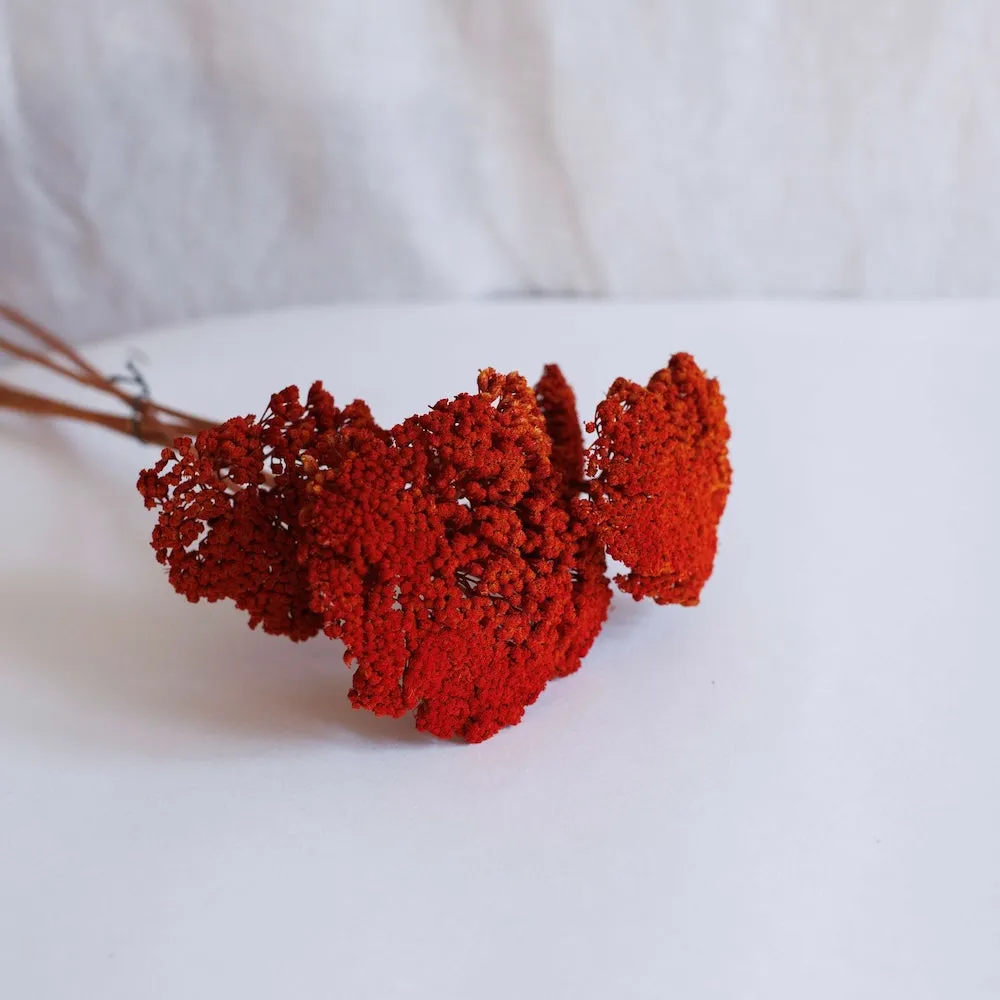 Botte Achille rouge