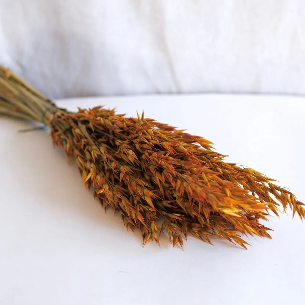 Botte Avoine orange