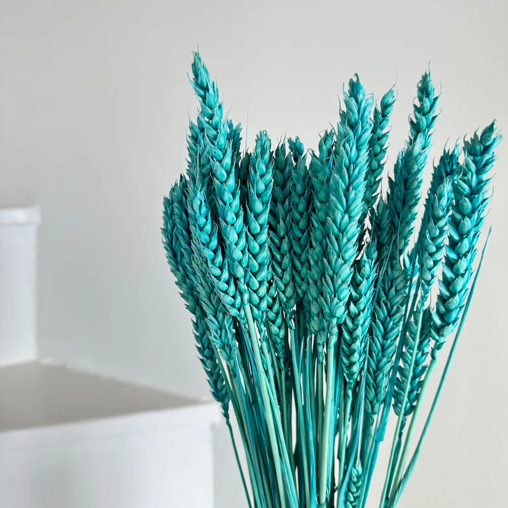 Botte Bl Turquoise