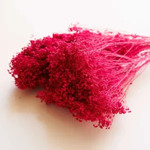 Botte Broom bloom Magenta,artificial single flower
