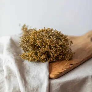 Botte broom bloom naturel,artificial single flower