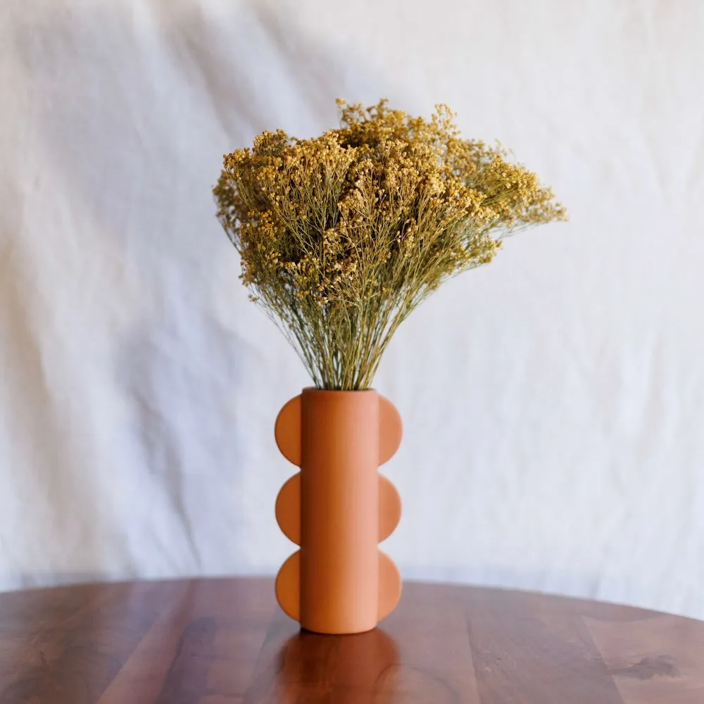 Botte broom bloom naturel