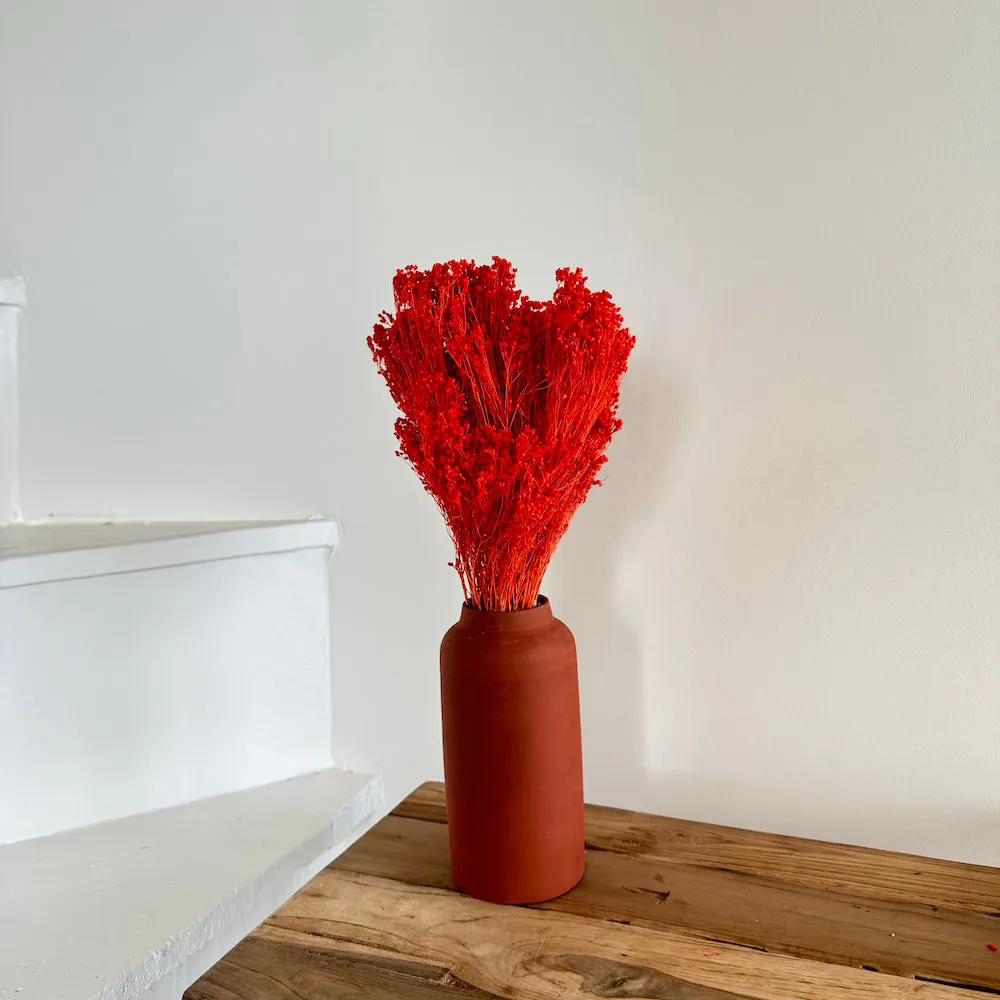 Botte Broom bloom Orange fonc