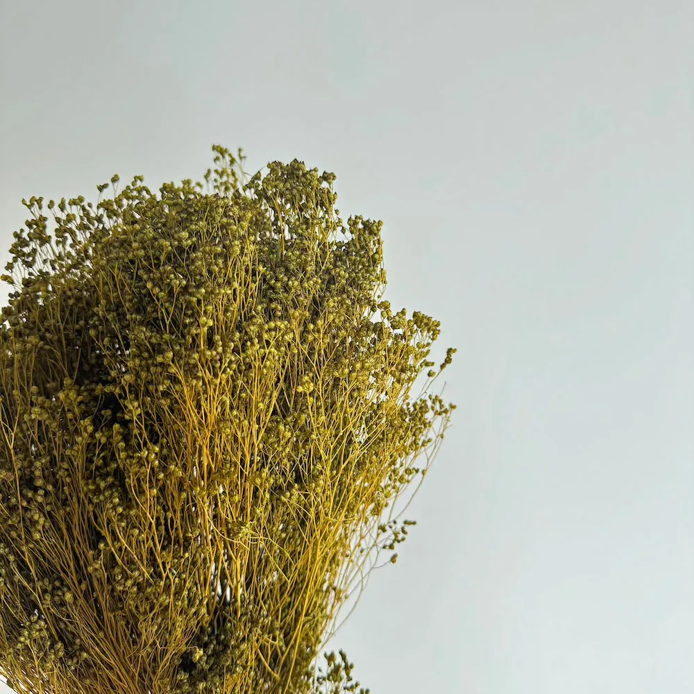 Botte Broom bloom Vert olive