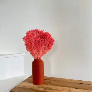 Botte Broom bloom Vieux rose,artificial single flower