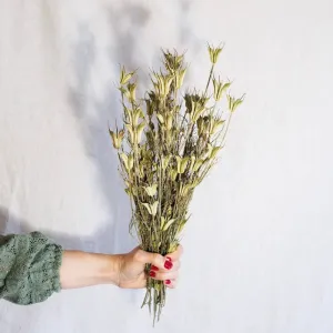 Botte de nigelle orientalis naturelle,artificial single flower