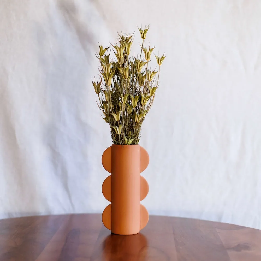 Botte de nigelle orientalis naturelle