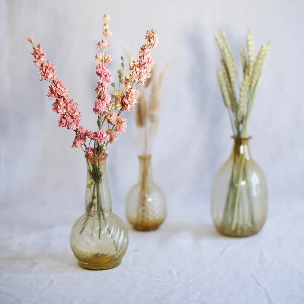 Botte Delphinium rose