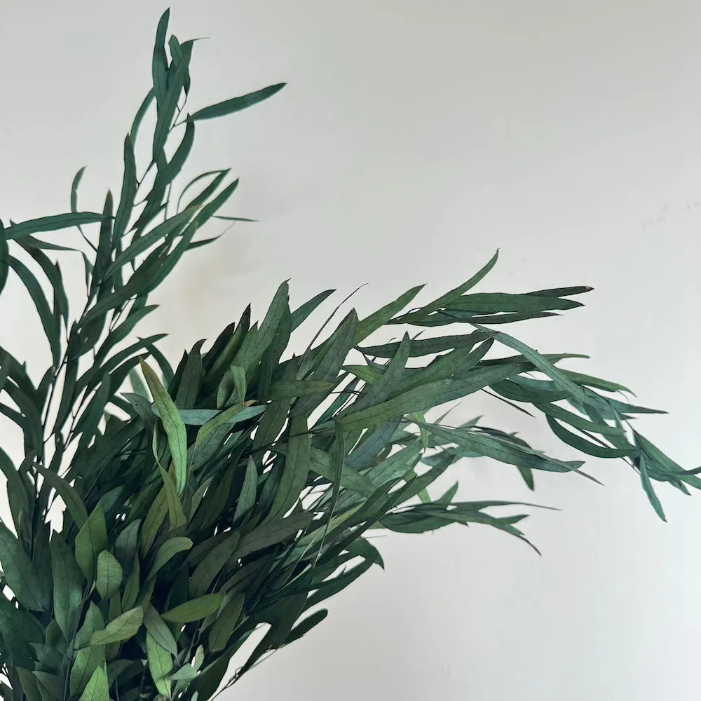 Botte Eucalyptus Nicoli Vert