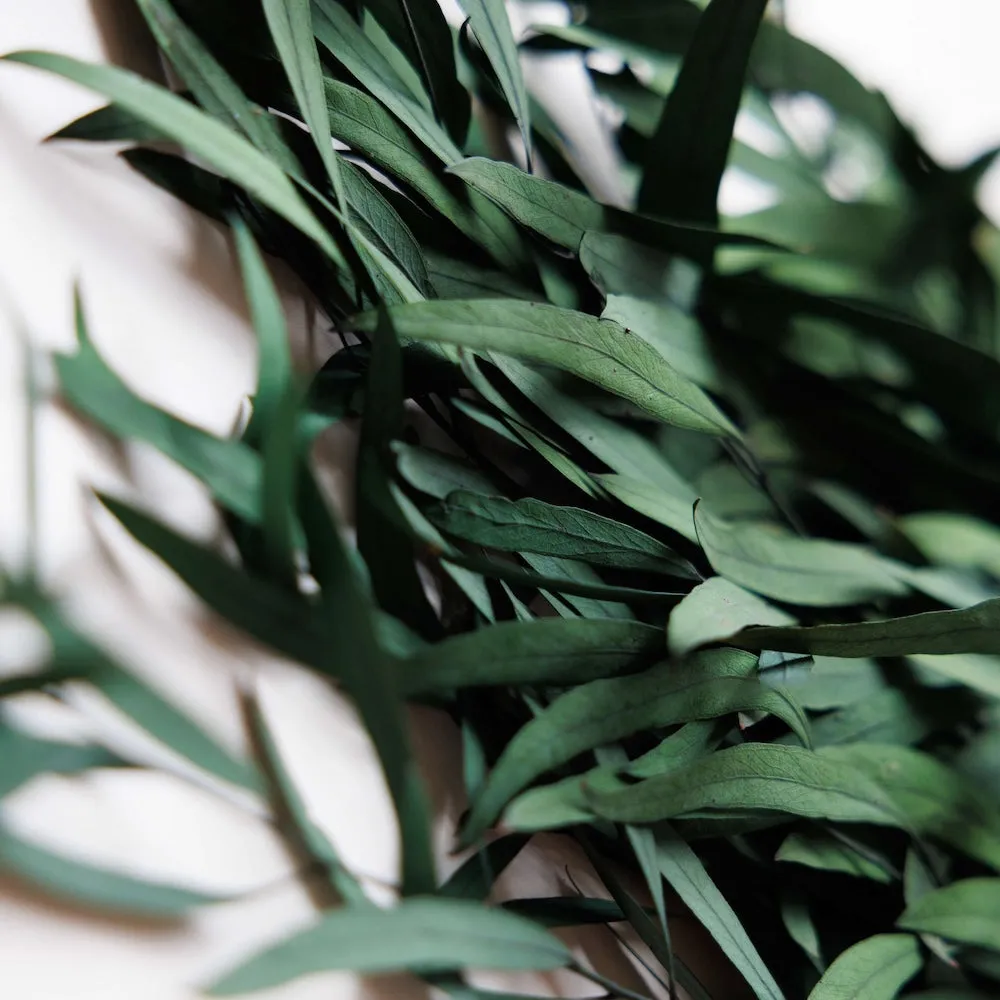 Botte Eucalyptus Nicoli Vert
