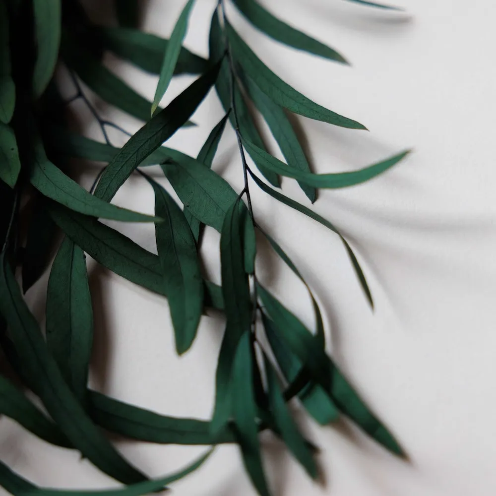 Botte Eucalyptus Nicoli Vert