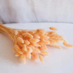 Botte lagurus pche,artificial single flower