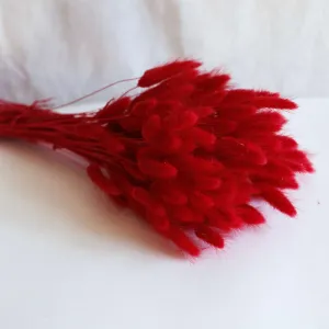 Botte lagurus rouge,artificial single flower