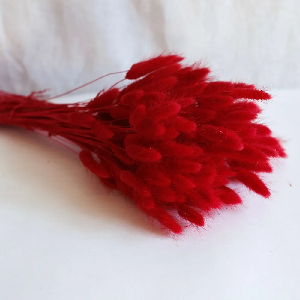 Botte lagurus rouge,artificial single flower
