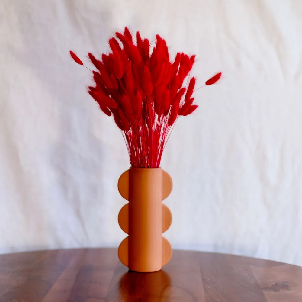 Botte lagurus rouge