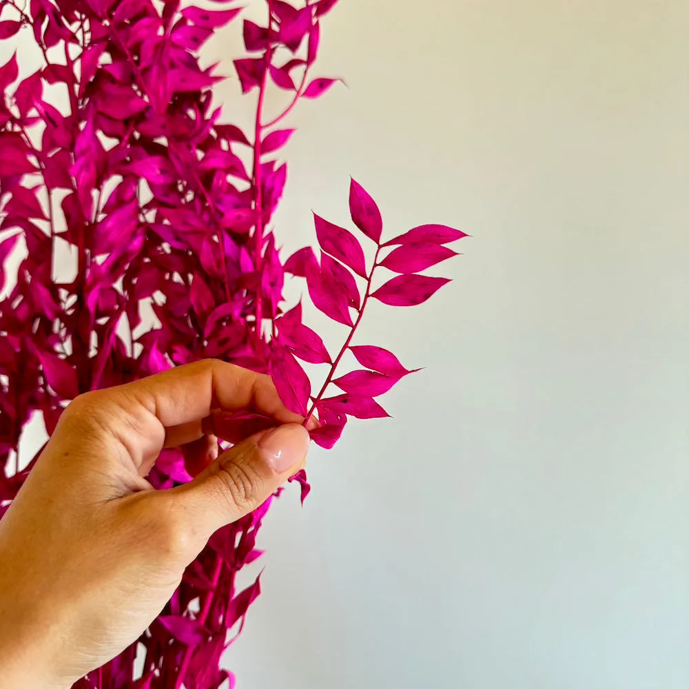 Botte Ruscus Magenta