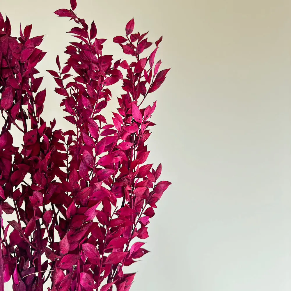 Botte Ruscus Magenta,artificial single flower