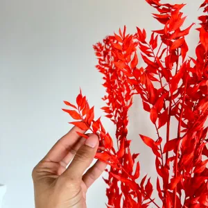 Botte Ruscus Orange fonc,artificial single flower