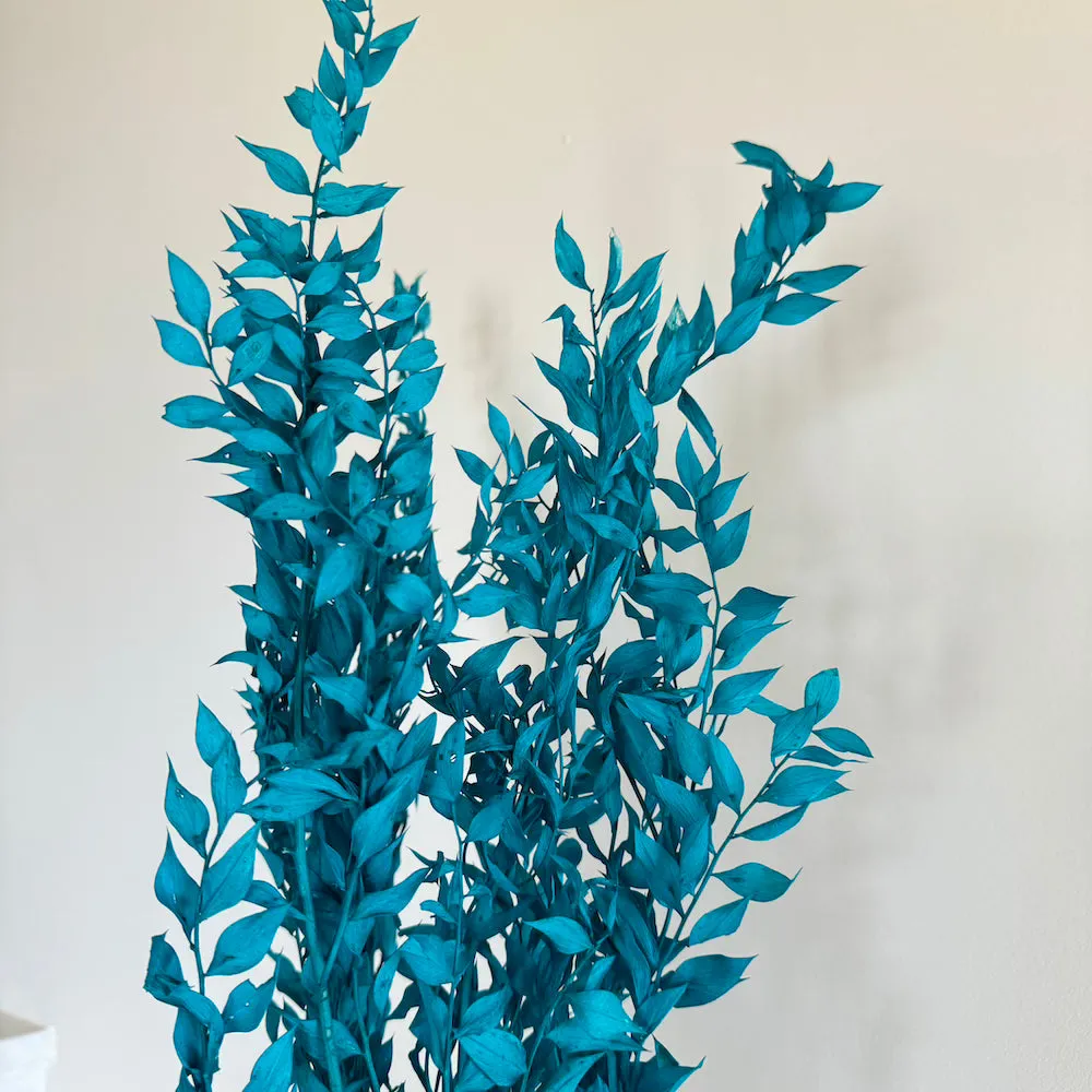 Botte Ruscus Turquoise