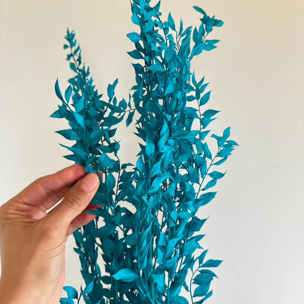 Botte Ruscus Turquoise