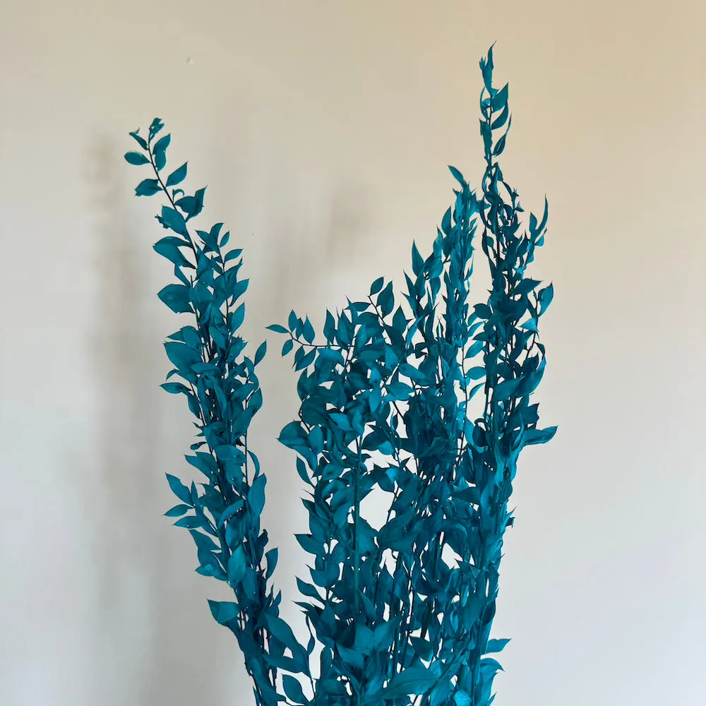 Botte Ruscus Turquoise