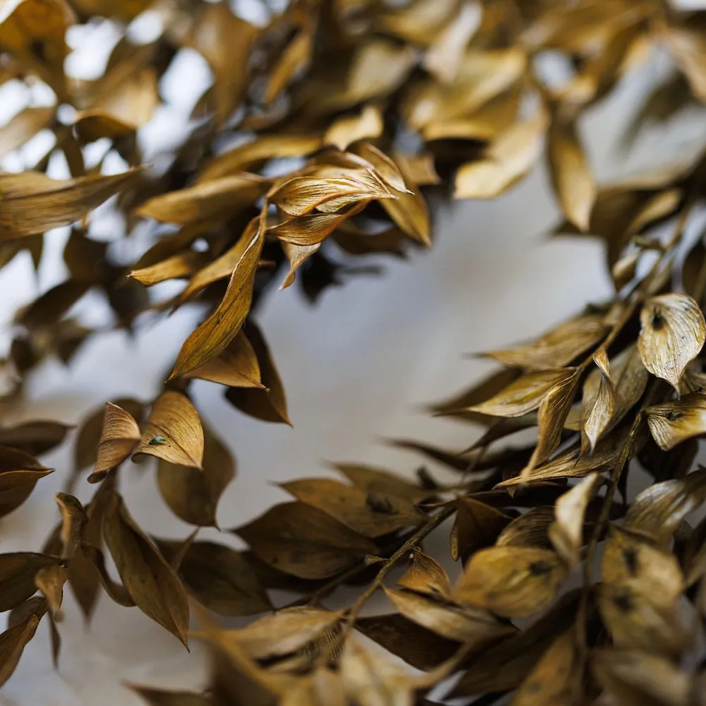 Botte Ruscus Vert olive