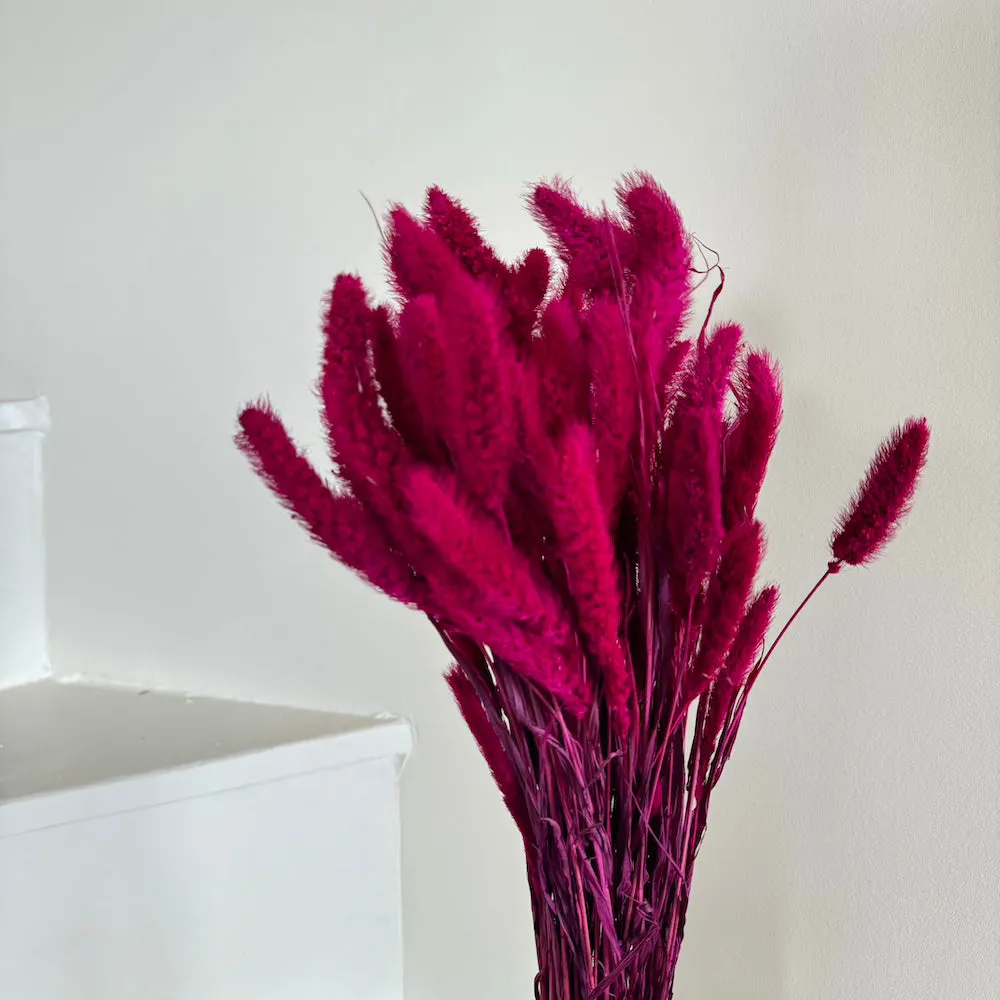 Botte Staire Magenta