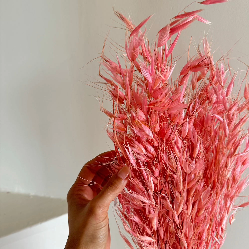 Botte Avoine Vieux rose
