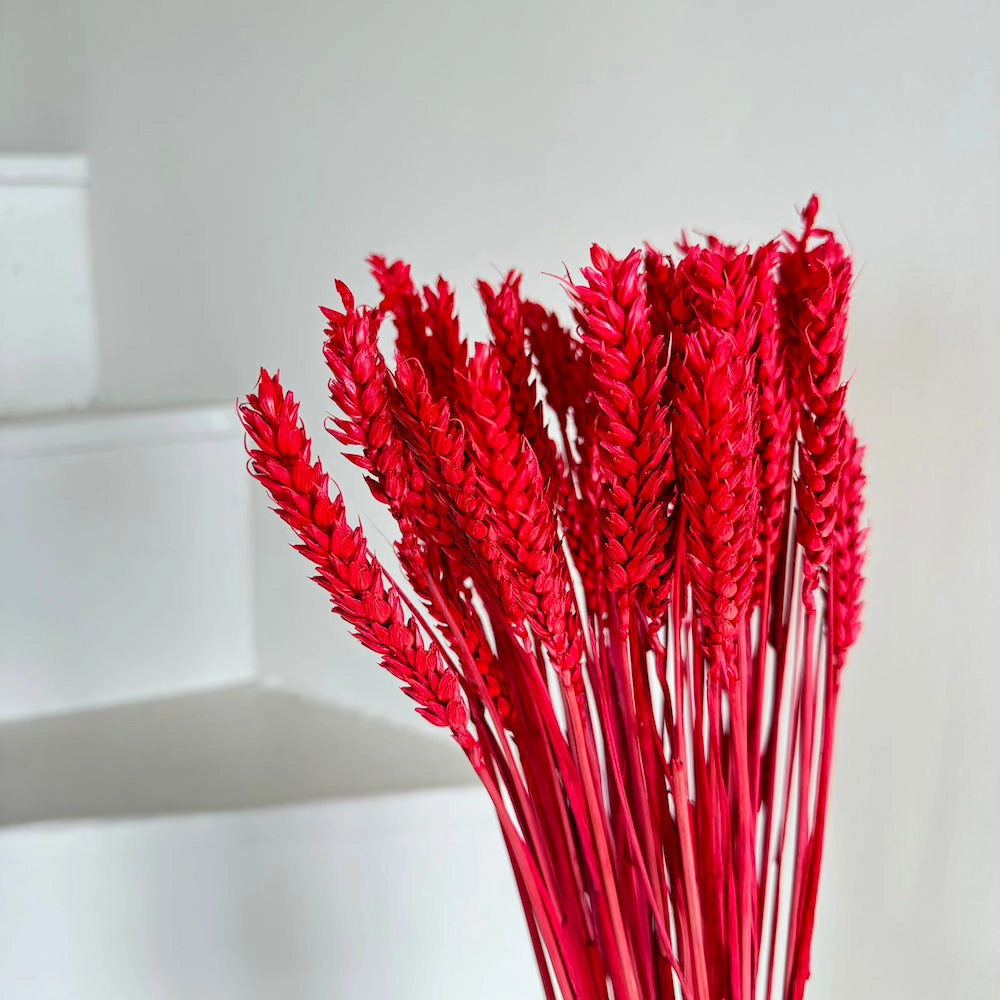 Botte Bl Rouge