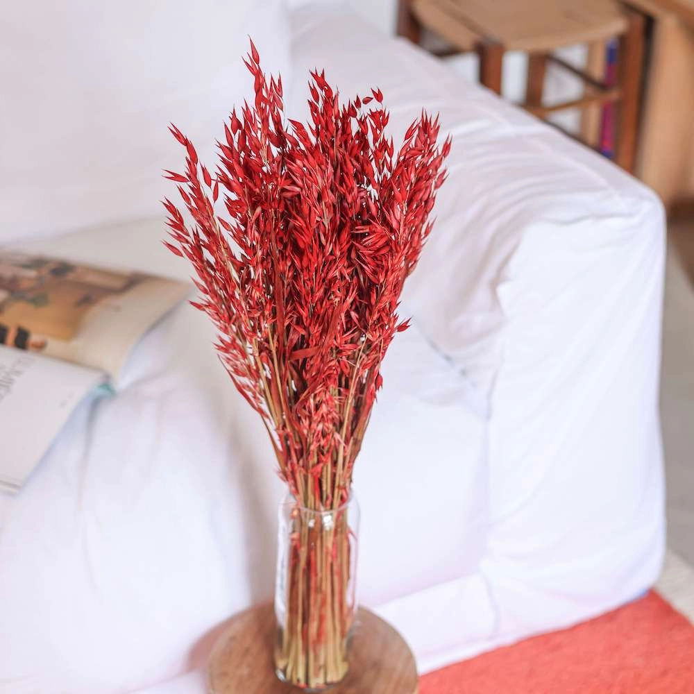 Botte d'Avoine Rouge