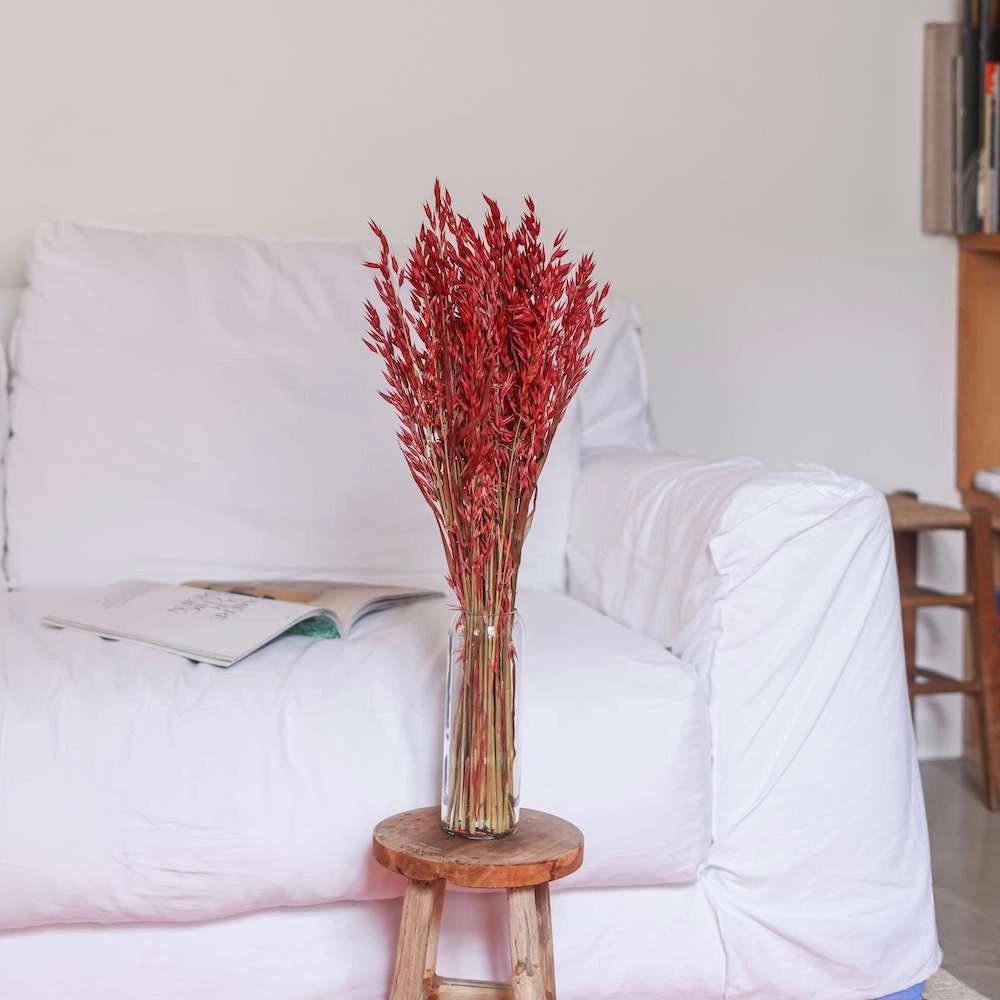 Botte d'Avoine Rouge