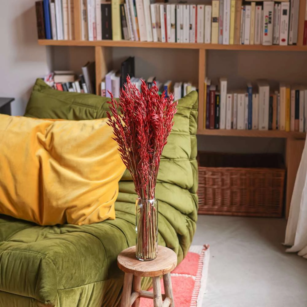 Botte d'Avoine Rouge