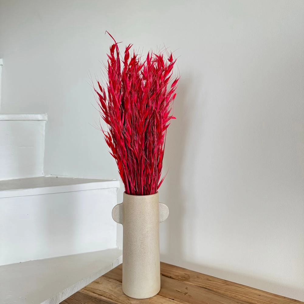 Botte d'Avoine Rouge